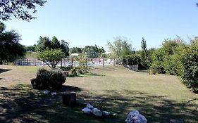 Cerro Molinos